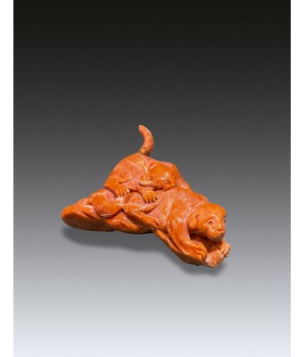 A Chinese Coral Dog Qing Dynasty 1644-1912