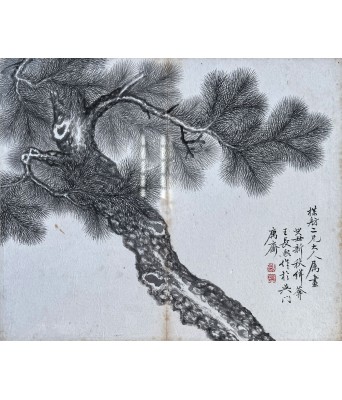 王长熙松树