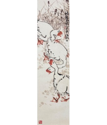 赖瑞龙鸿运当头
