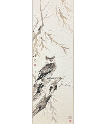 陈悟迟猫头鹰
