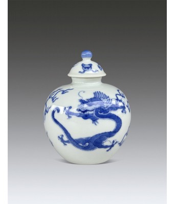 A Chinese Blue and White Dragon Jar Qing Kangxi Period 1661-1722