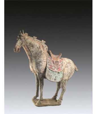 唐代彩绘陶马俑