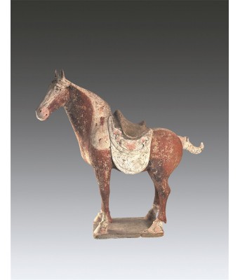 唐代彩绘陶俑赤兔马