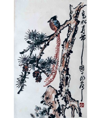 丁衍庸高松寿带图