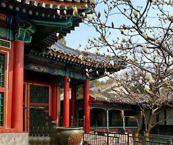 WeChat Image_20200530083746